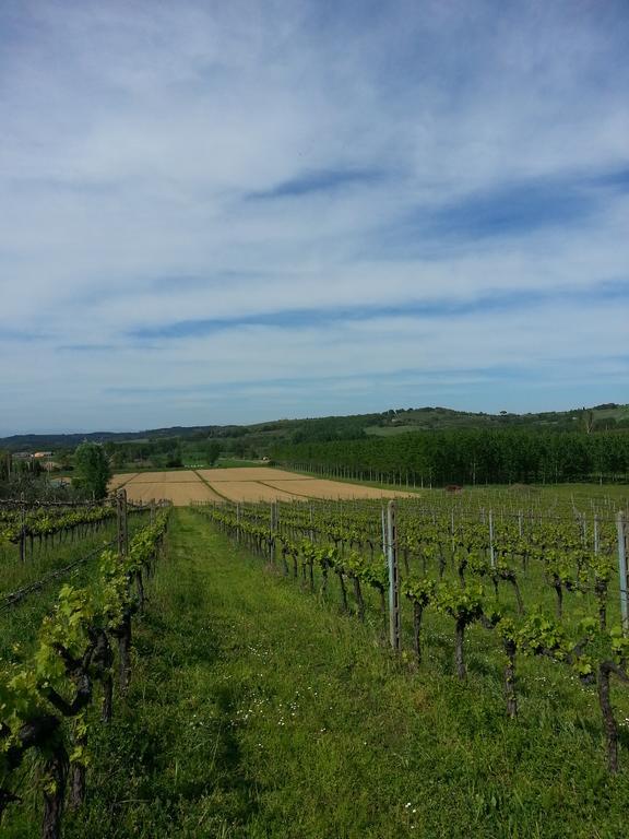 Podere Chiasso Gherardo Villa Peccioli Luaran gambar