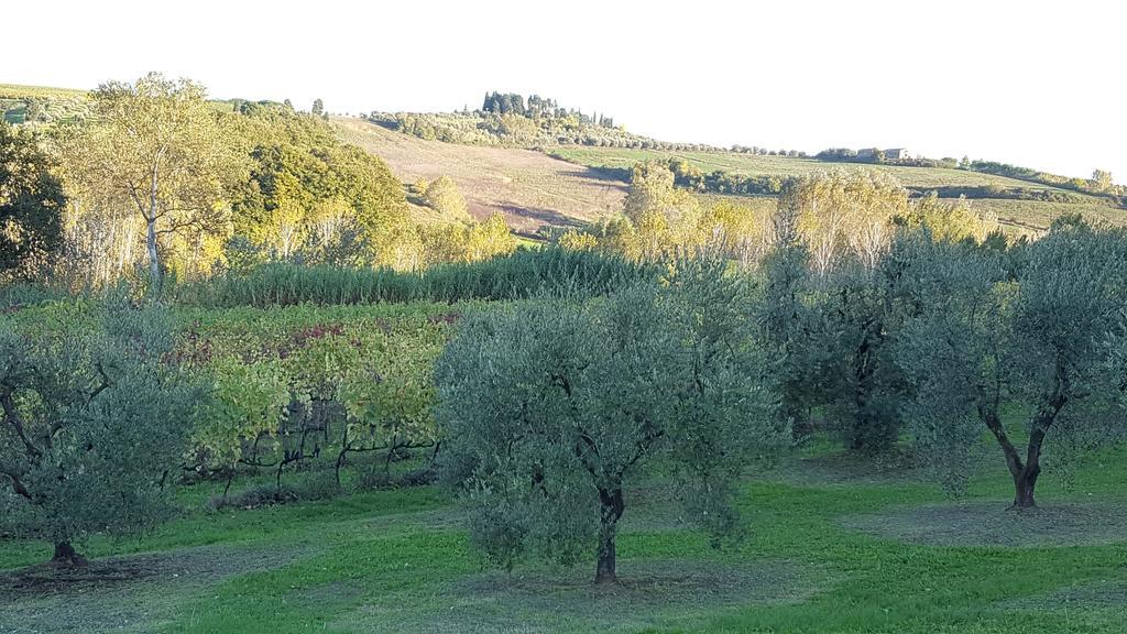 Podere Chiasso Gherardo Villa Peccioli Luaran gambar