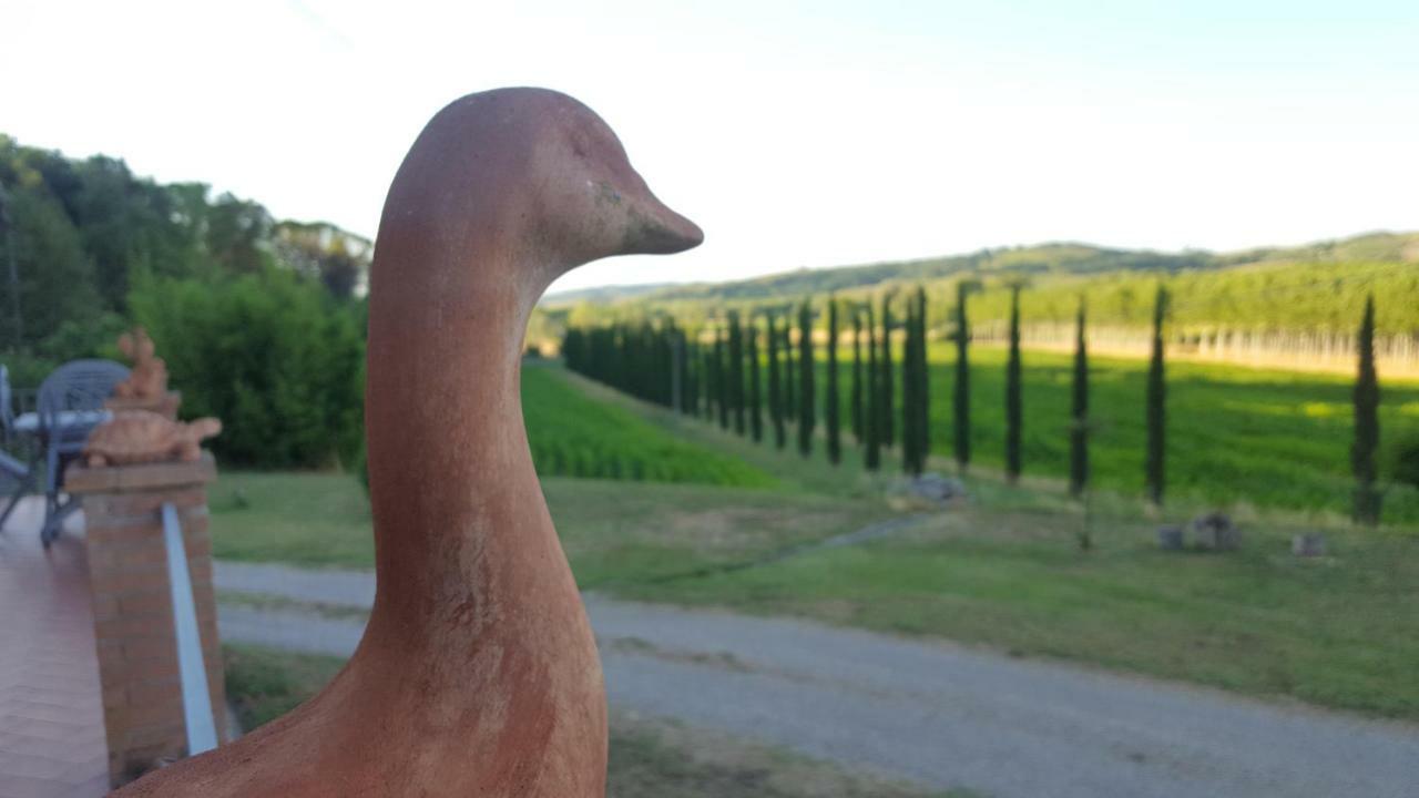 Podere Chiasso Gherardo Villa Peccioli Luaran gambar