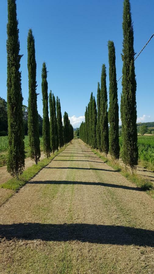 Podere Chiasso Gherardo Villa Peccioli Luaran gambar