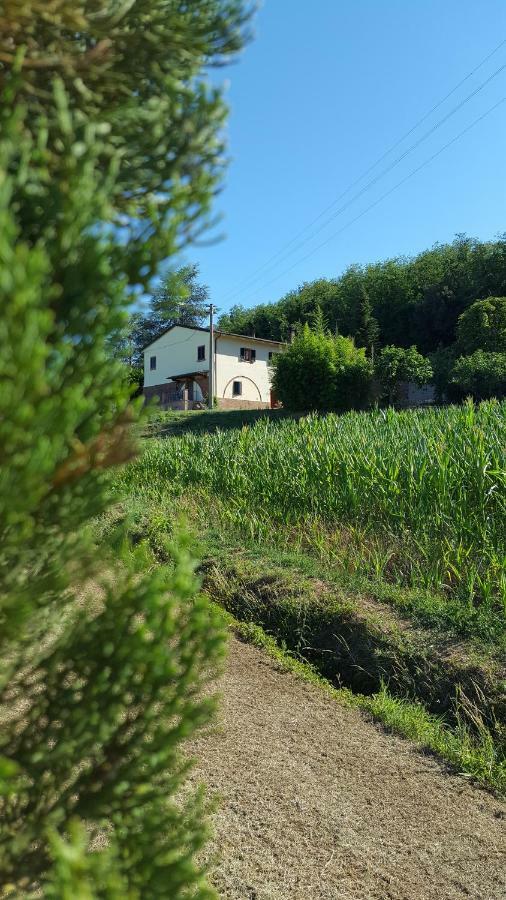 Podere Chiasso Gherardo Villa Peccioli Luaran gambar