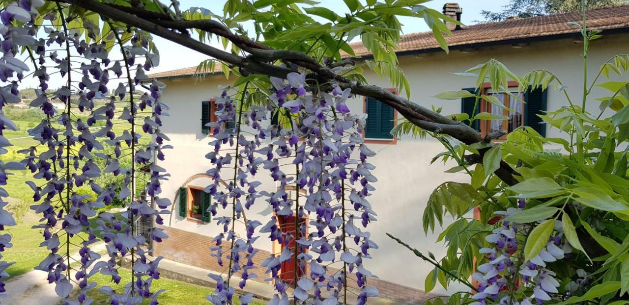 Podere Chiasso Gherardo Villa Peccioli Luaran gambar